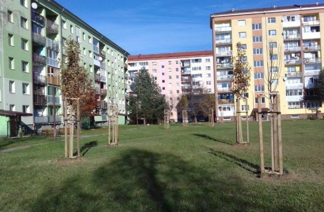 Pobočka Colného úradu v Starej Ľubovni avizuje zmeny, chce rozšíriť svoju činnosť