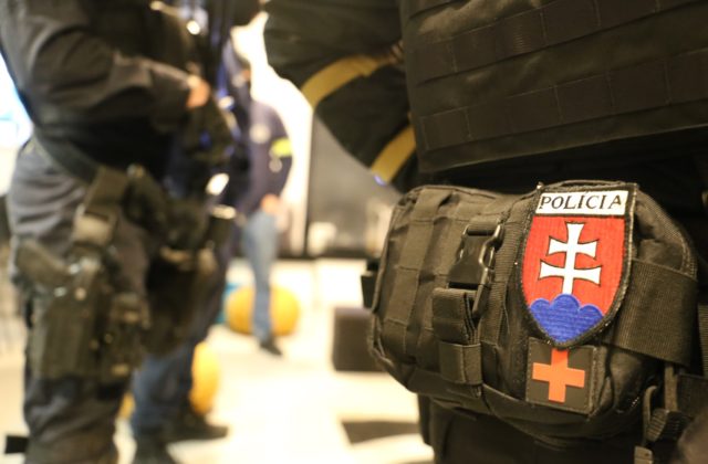 Polícia vykonala na východnej hranici bezpečnostnú akciu, nasadených bolo viac než 320 policajtov