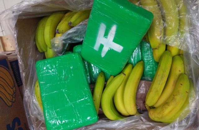 V zásielke banánov odhalili kokaín za zhruba dve miliardy korún, putovala cez Amsterdam