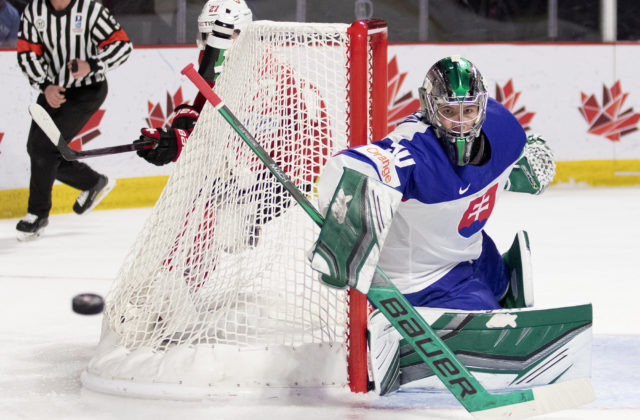 Adam Gajan patrí po fyzickej stránke k najlepším v rebríčku nádejí a je vraj na tom podobne ako top brankári v NHL