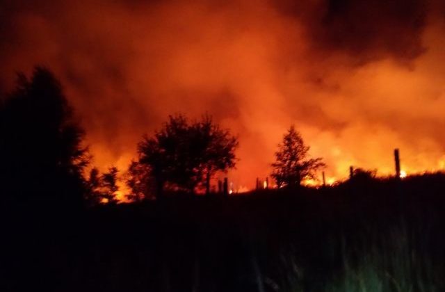 V Malých Karpatoch v noci horel les, zasahovali desiatky hasičov (foto)