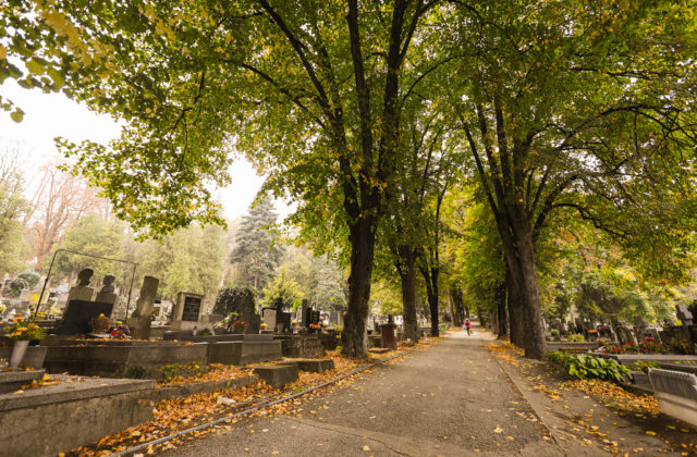 V Košiciach sa dostanú k hrobom aj imobilní návštevníci Verejného cintorína, transport zabezpečí Správa mestskej zelene