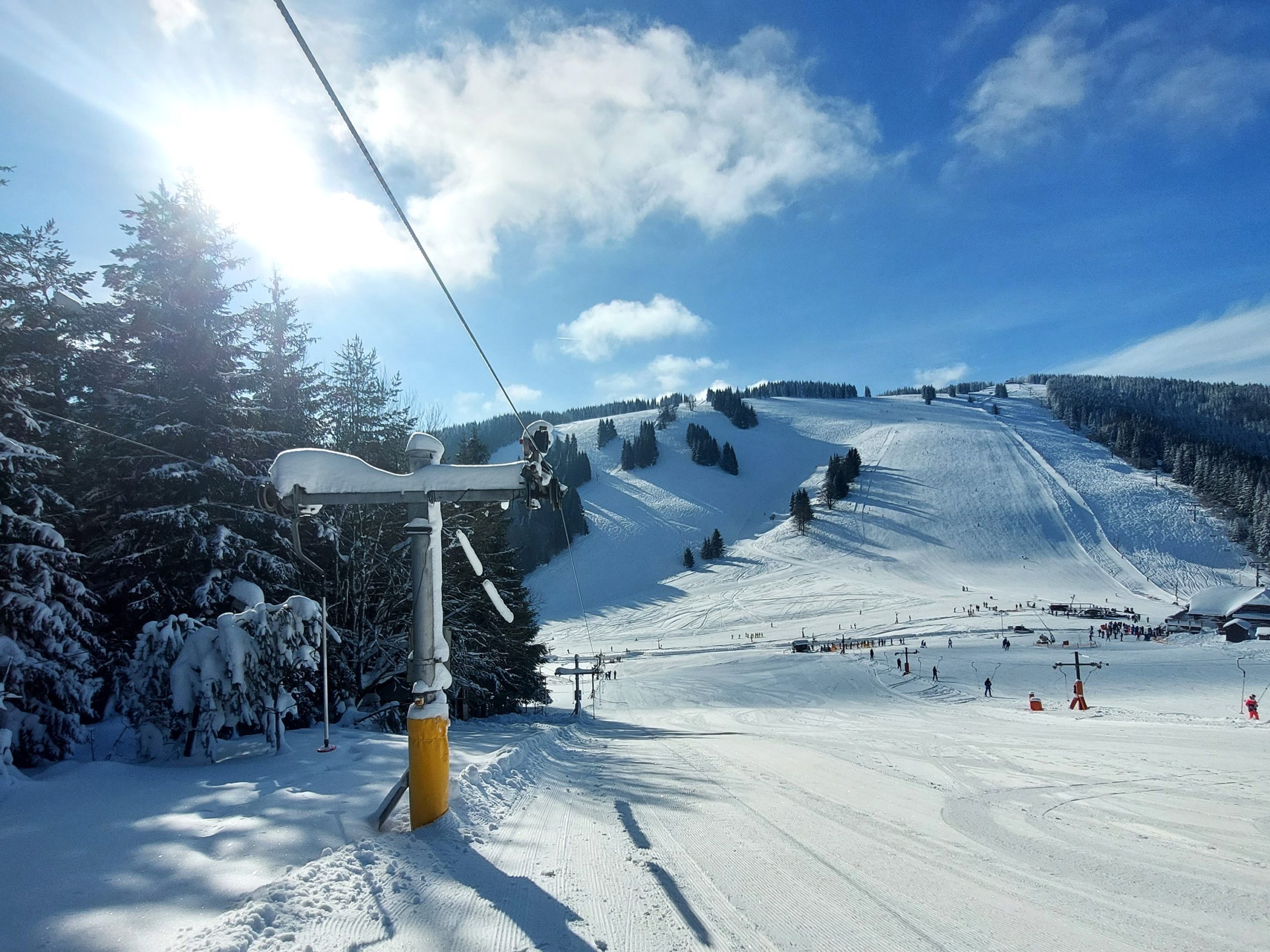 20230206_122857.jpg