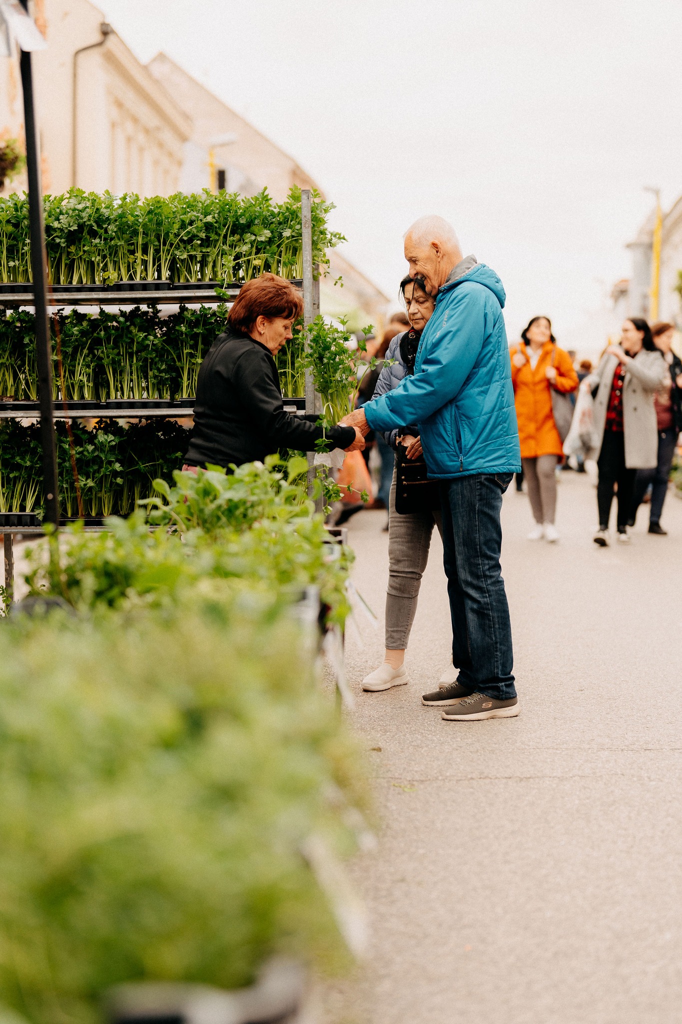 Ma jovy kvet_zdroj zazi v trnave 3.jpg