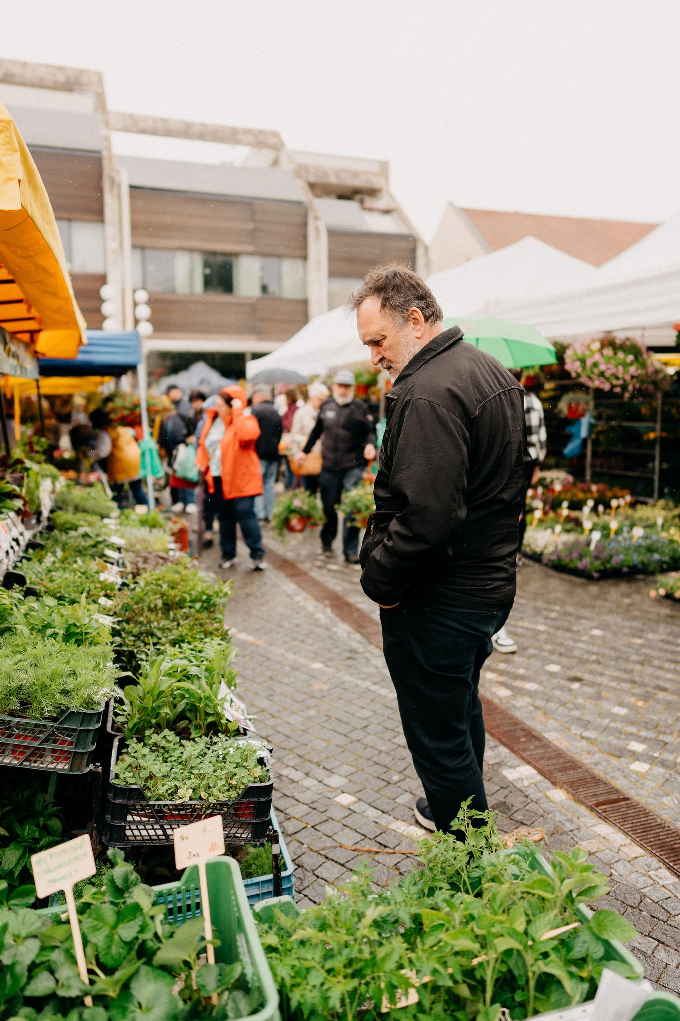 Ma jovy kvet_zdroj zazi v trnave 4.jpg