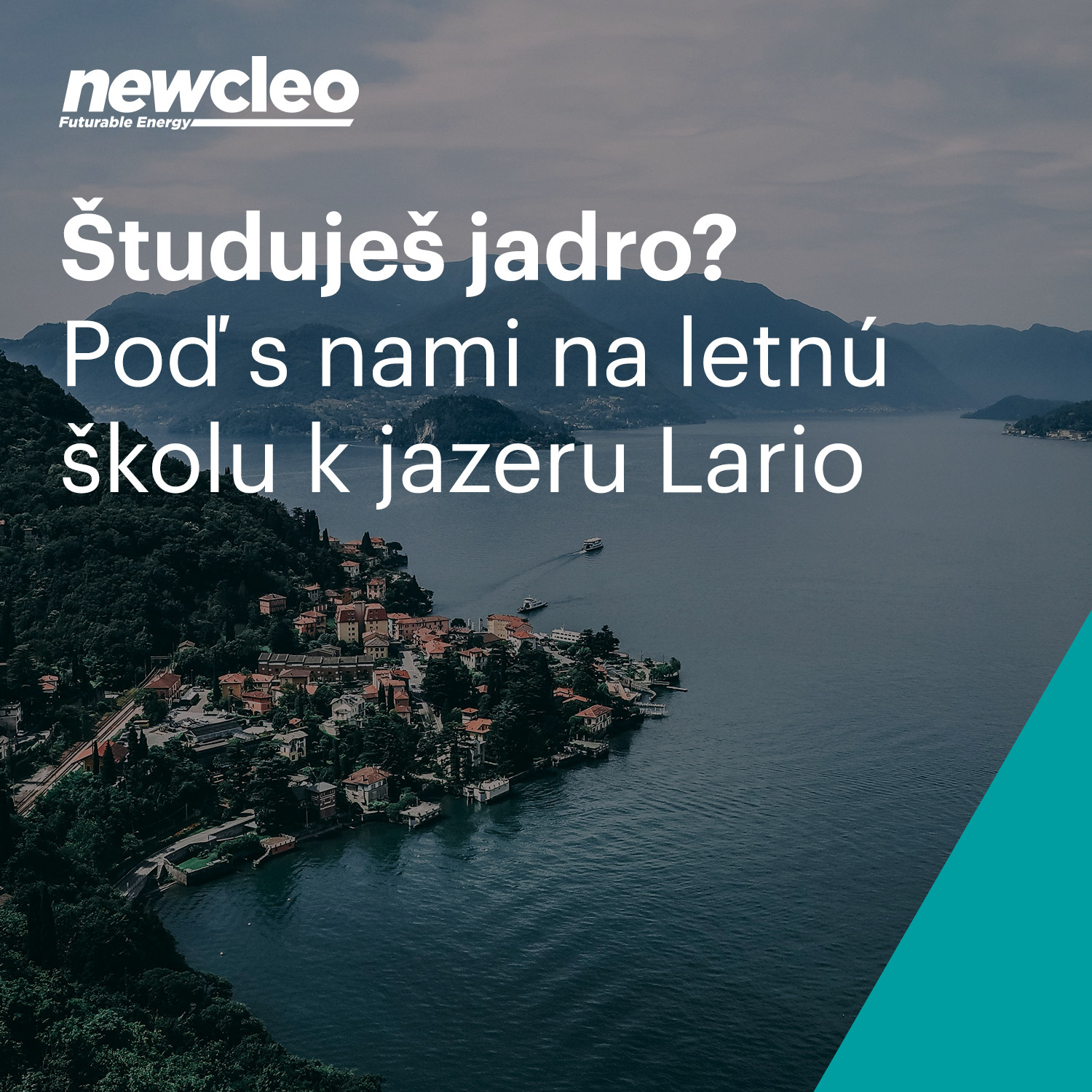 Newcleo_summerschool_post1.jpg