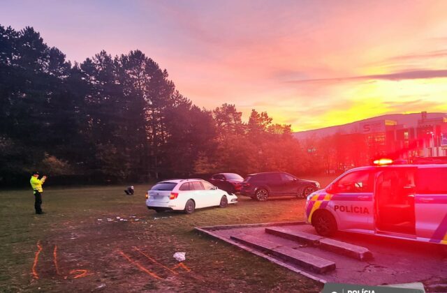 Vodič Audi pri Krematóriu zrazil chodkyňu, skončila v nemocnici (foto)