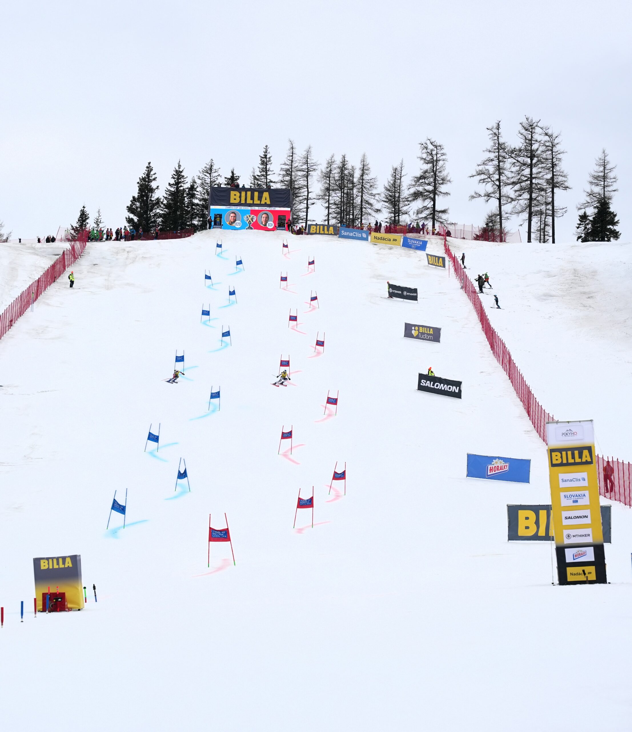 Foto 4_pretekari na svahu na billa zampa cup e.jpg