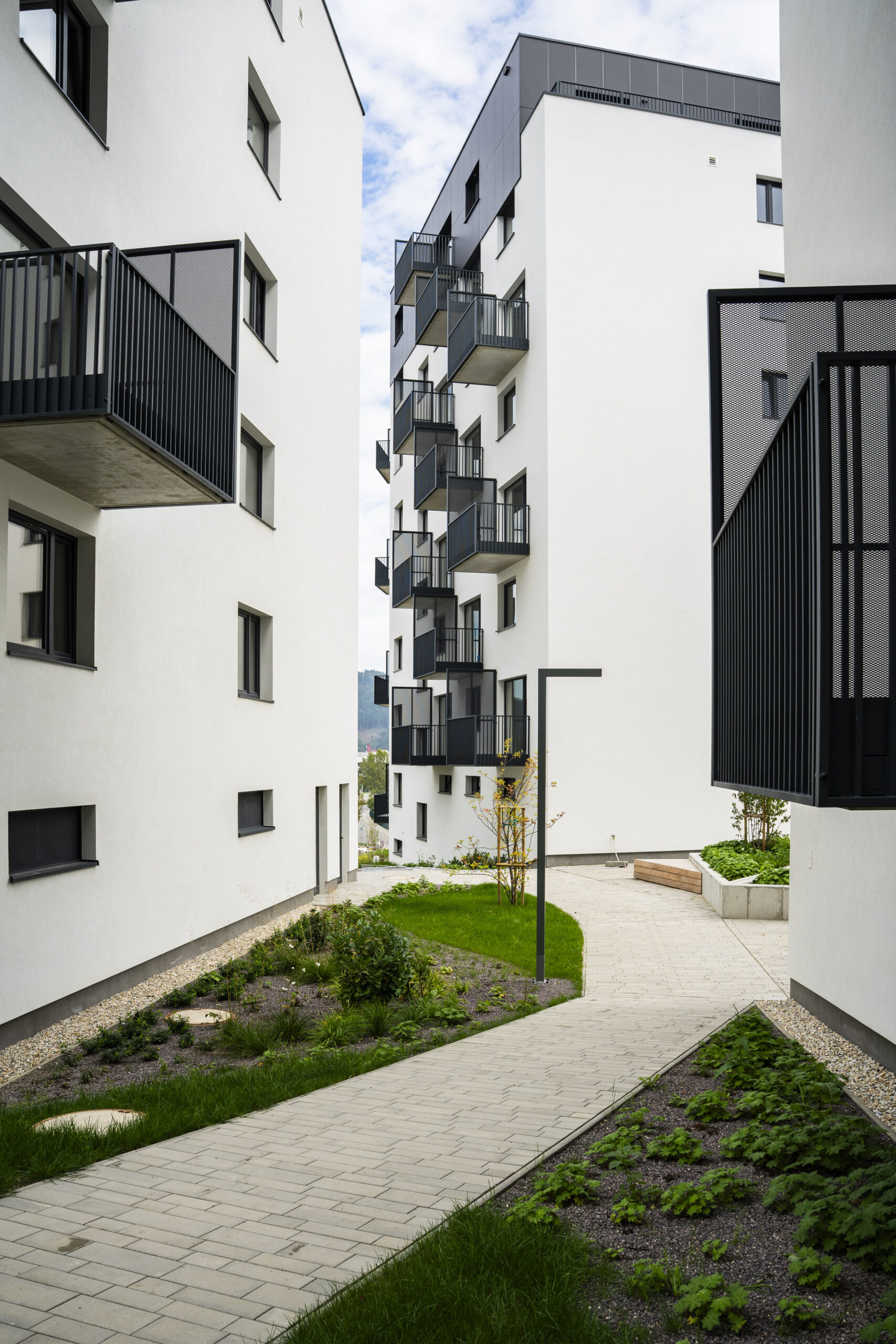 Kooperativa lesopark zilina 1.jpg