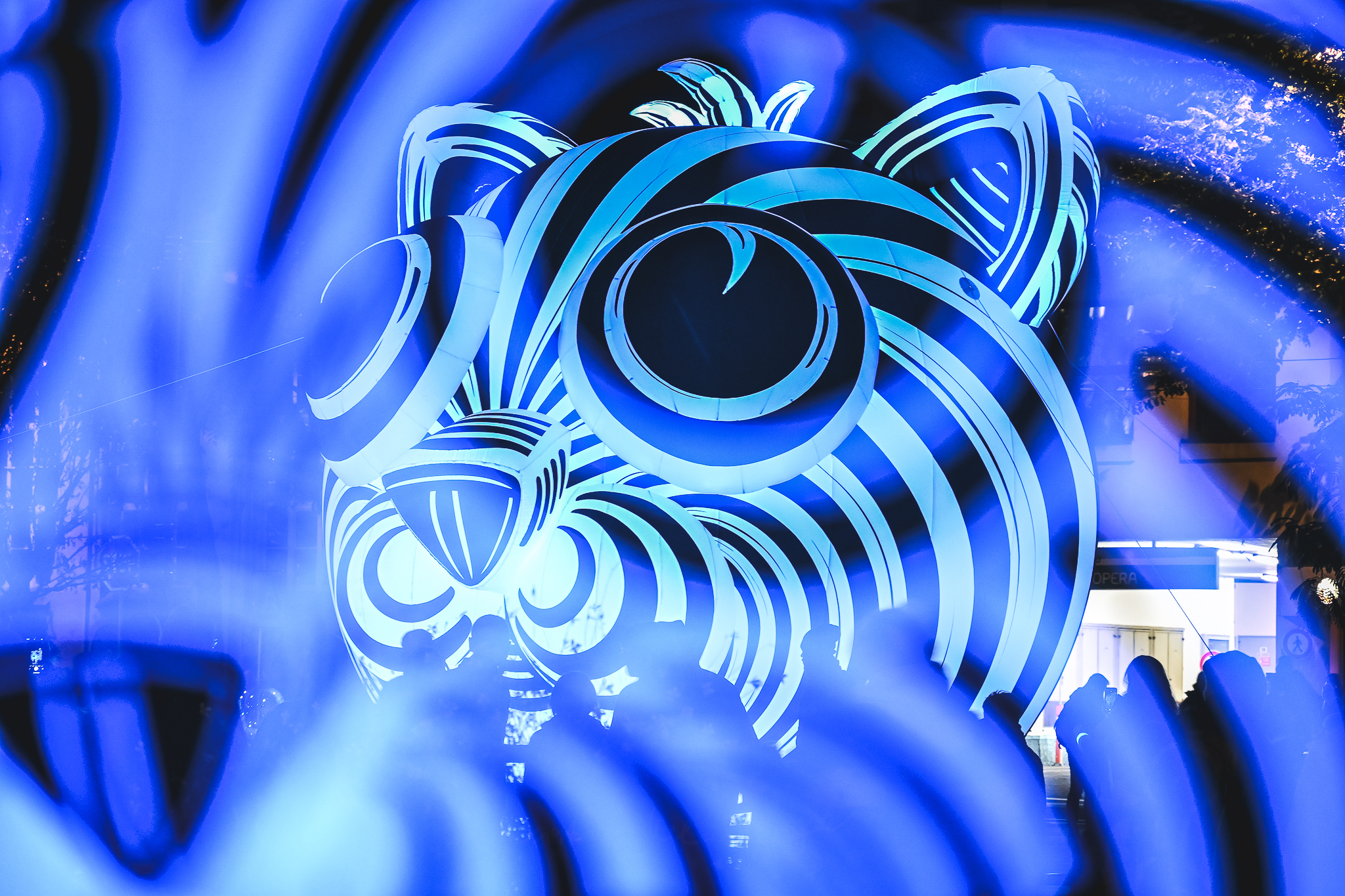 16_matu smata tko_bigcat_bnba2025_martina_mlcuchova 2.jpg