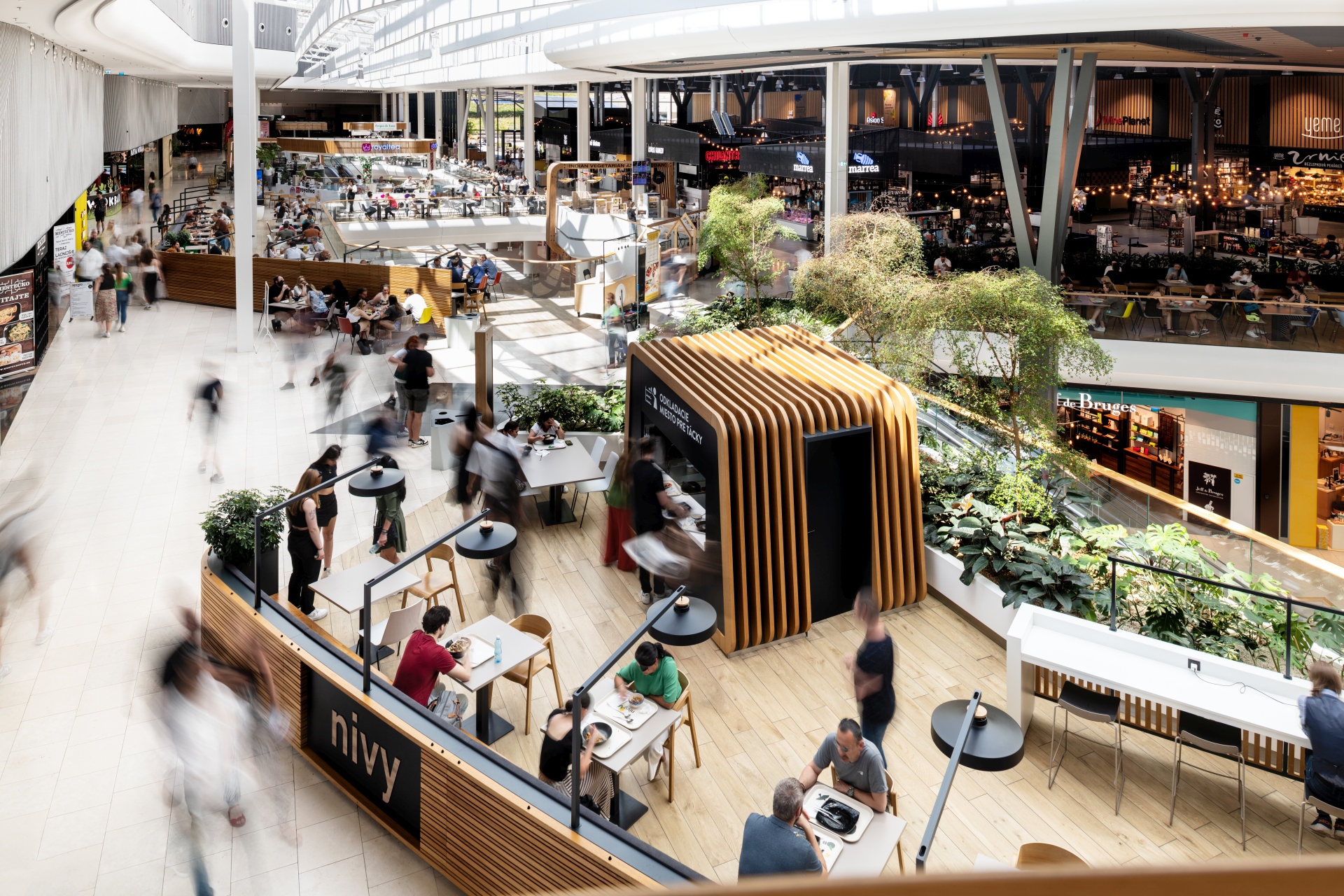 Dsc_4843_toto_a 1.jpg