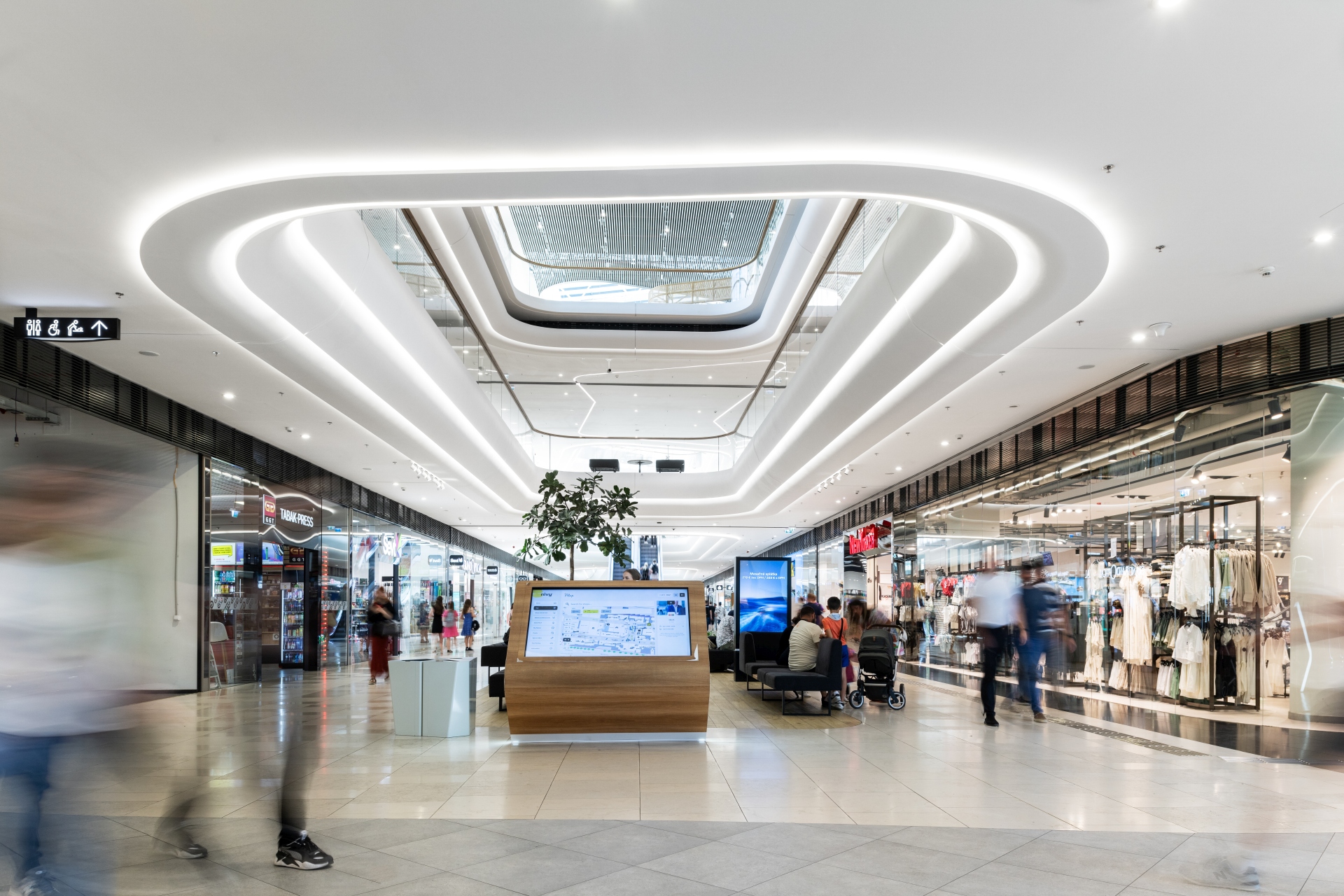 Dsc_5061_toto_a 1.jpg