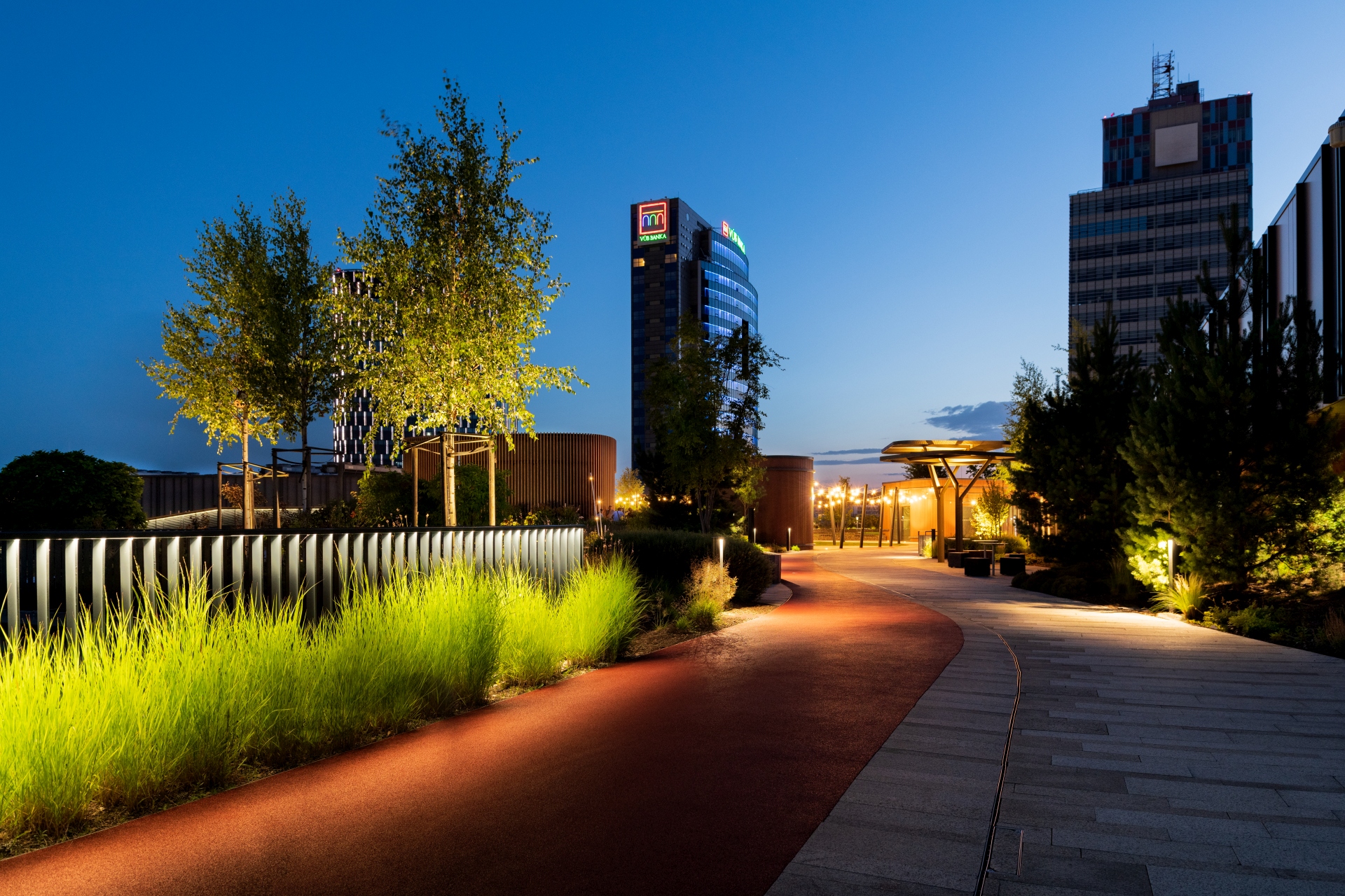 Dsc_5822_toton 1.jpg