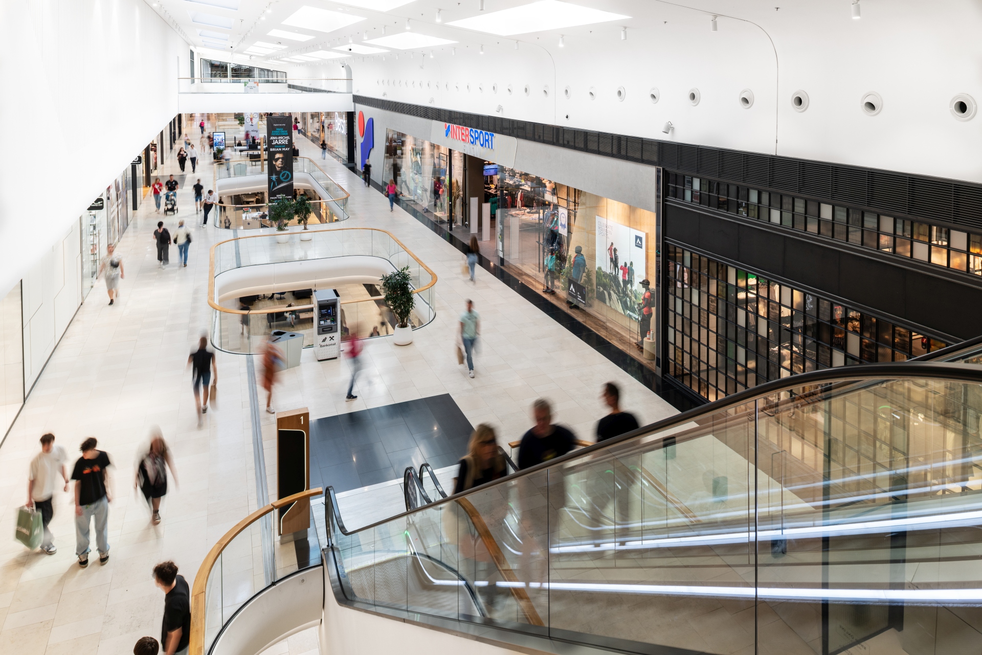 E_dsc_4053_toto 1.jpg