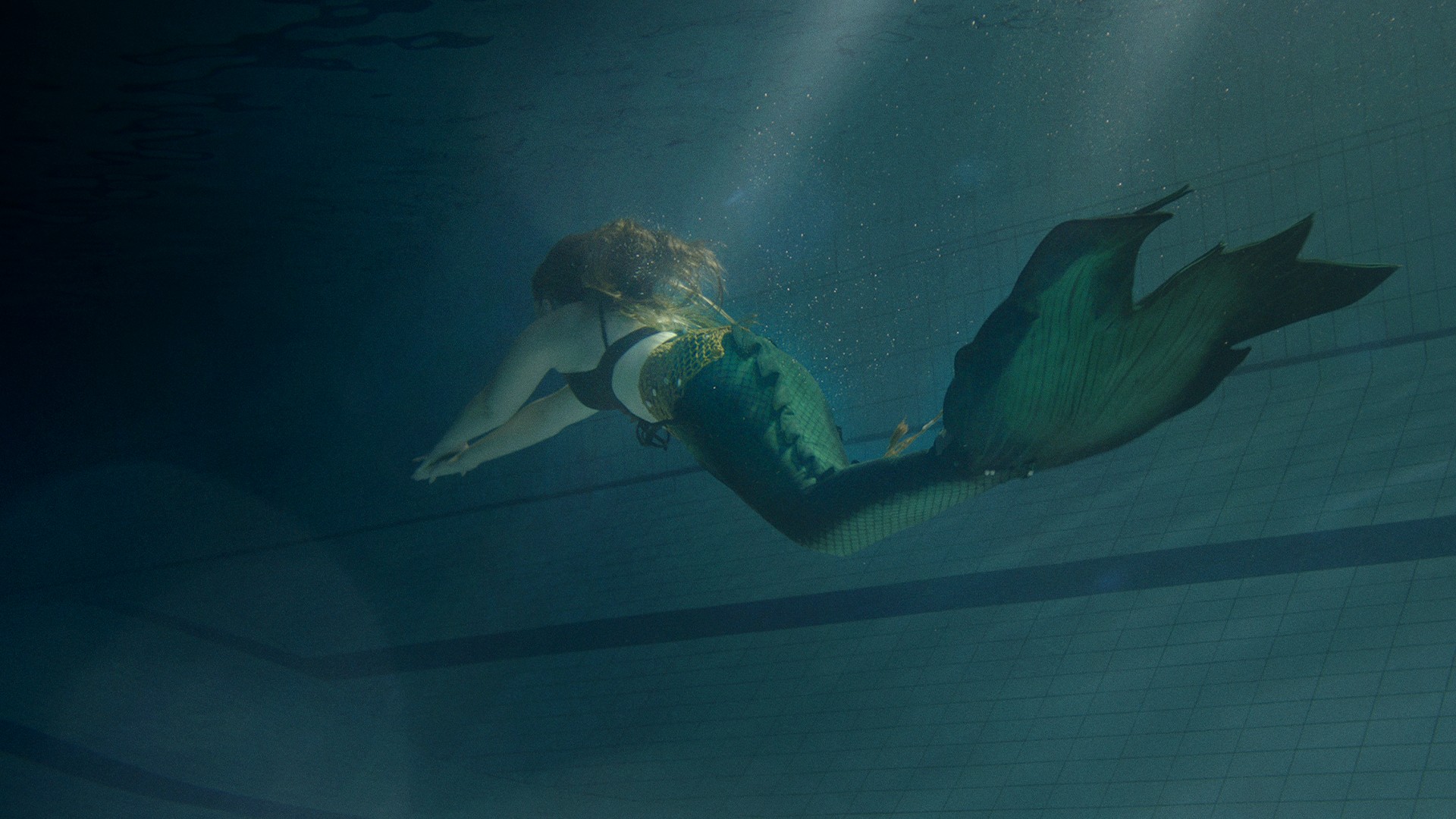 Orange_morska panna.jpg