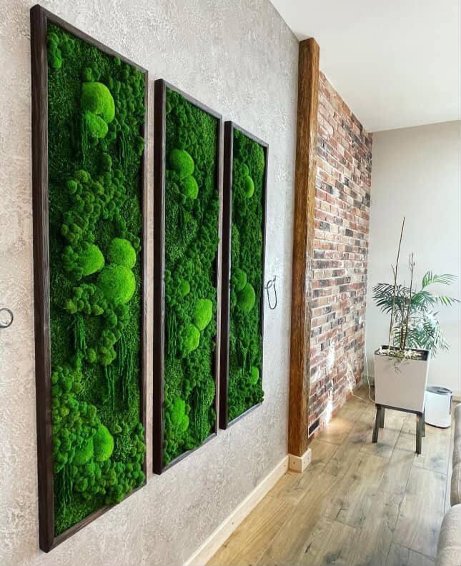 Photo_2025 08 17_20 41 12.jpg