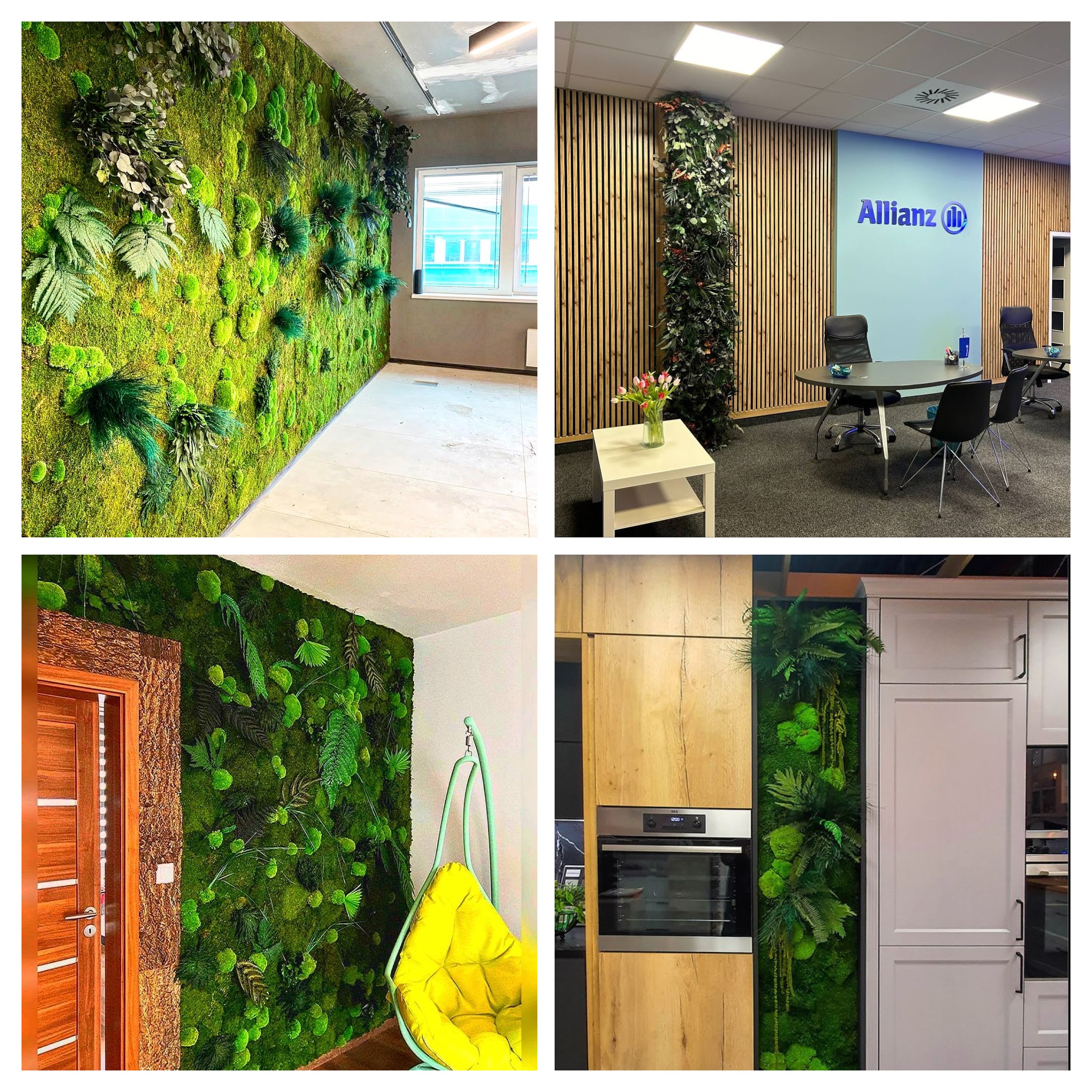 Platnwalls collage.jpg