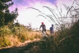 107032_pexels d123x 733741 1 676x451.jpg