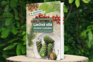107239_lieciva sila2 676x507.jpg