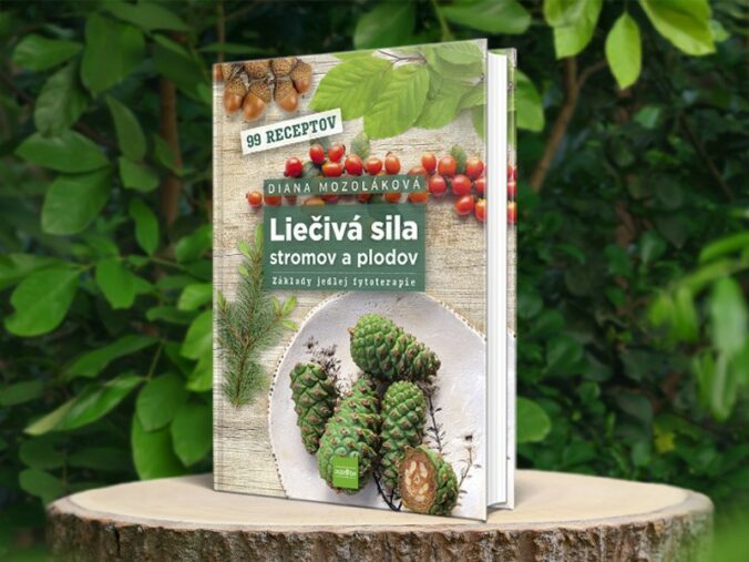 107239_lieciva sila2 676x507.jpg