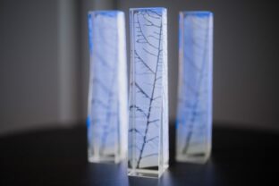 107414_esg_awards_1 676x451.jpg