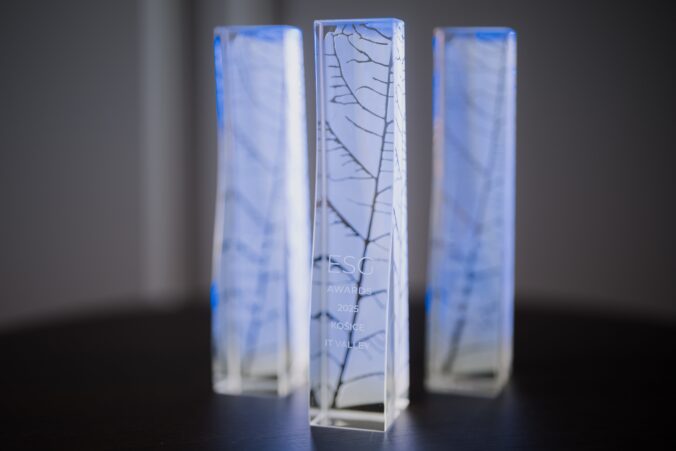107414_esg_awards_1 676x451.jpg