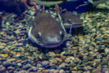 107736_gettyimages 1218367703 676x451.jpg