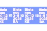 107905_new project 11 676x444.jpg