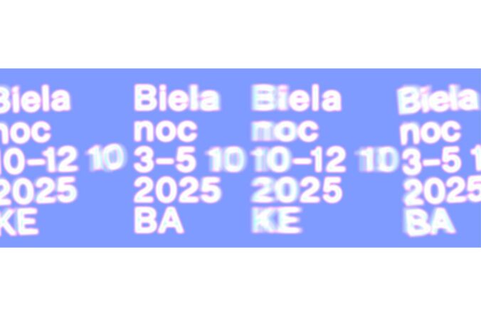 107905_new project 11 676x444.jpg