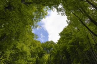 110630_foto uvodna1 676x451 1.jpg