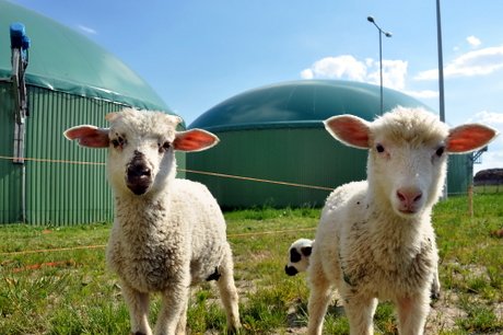 Bioplynka v Kežmarku