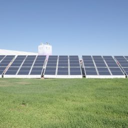 Solarny panel trava - EK
