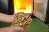 biomasa spalovanie