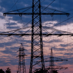 Power poles are pictured in the outskirts of Frankfurt, Germany