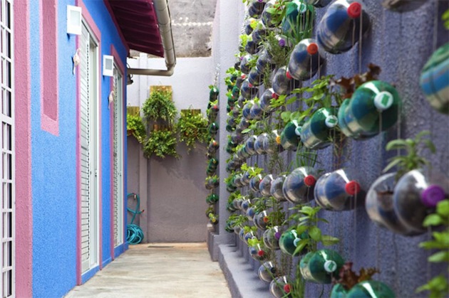 Upcycling plastic soda bottles as an urban garden 3.jpg