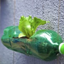 Upcycling plastic soda bottles as an urban garden 6.jpg