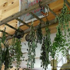20 creative ways to use ladders for vintage home decorating7.jpg