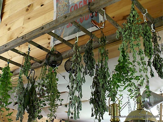 20 creative ways to use ladders for vintage home decorating7.jpg