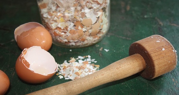 6 ways to use egg shells.jpg