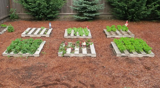 Make an organic garden with your pallets 1.jpg