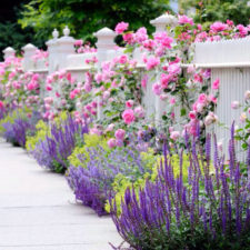 Post_traditional landscape yard with garden fence i_g isp9wokgv2ssqs0000000000 mtzql.jpg