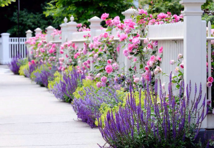 Post_traditional landscape yard with garden fence i_g isp9wokgv2ssqs0000000000 mtzql.jpg