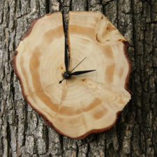 Post_wood slice wall clock.jpg