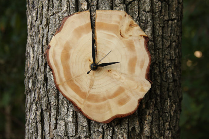 Post_wood slice wall clock.jpg