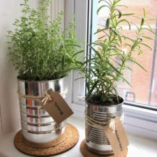 Post_kitchen herbs in tin cans..jpg