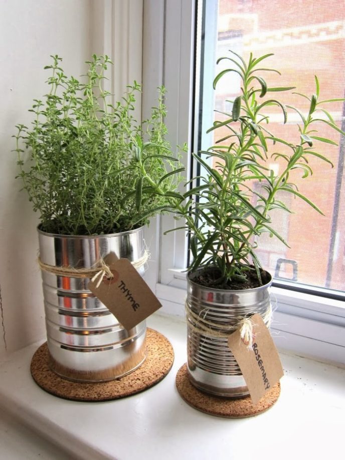 Post_kitchen herbs in tin cans..jpg