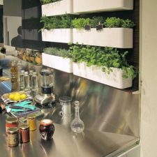 Post_smart mini garden design with small green plants in mounted white pots for decorating a modenr kitchen interior.jpg