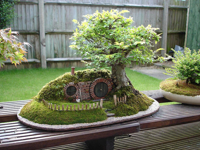 Amazing bonsai trees 31 5710fa291dd89__700.jpg