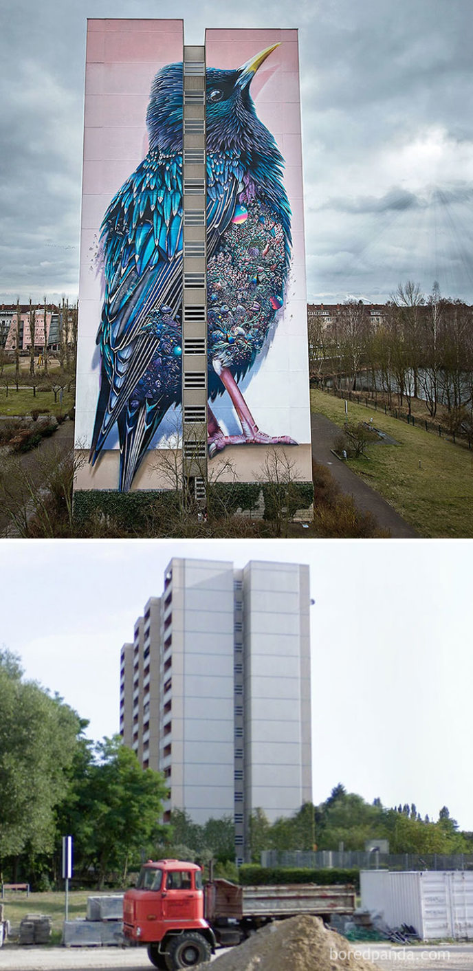 Before after street art boring wall transformation 2 580df352b1353__700.jpg