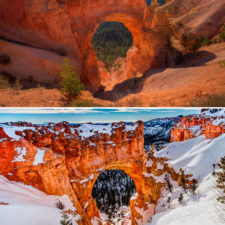 Before after summer winter photography changing seasons timelapse 17 57614812b73a1__880.jpg